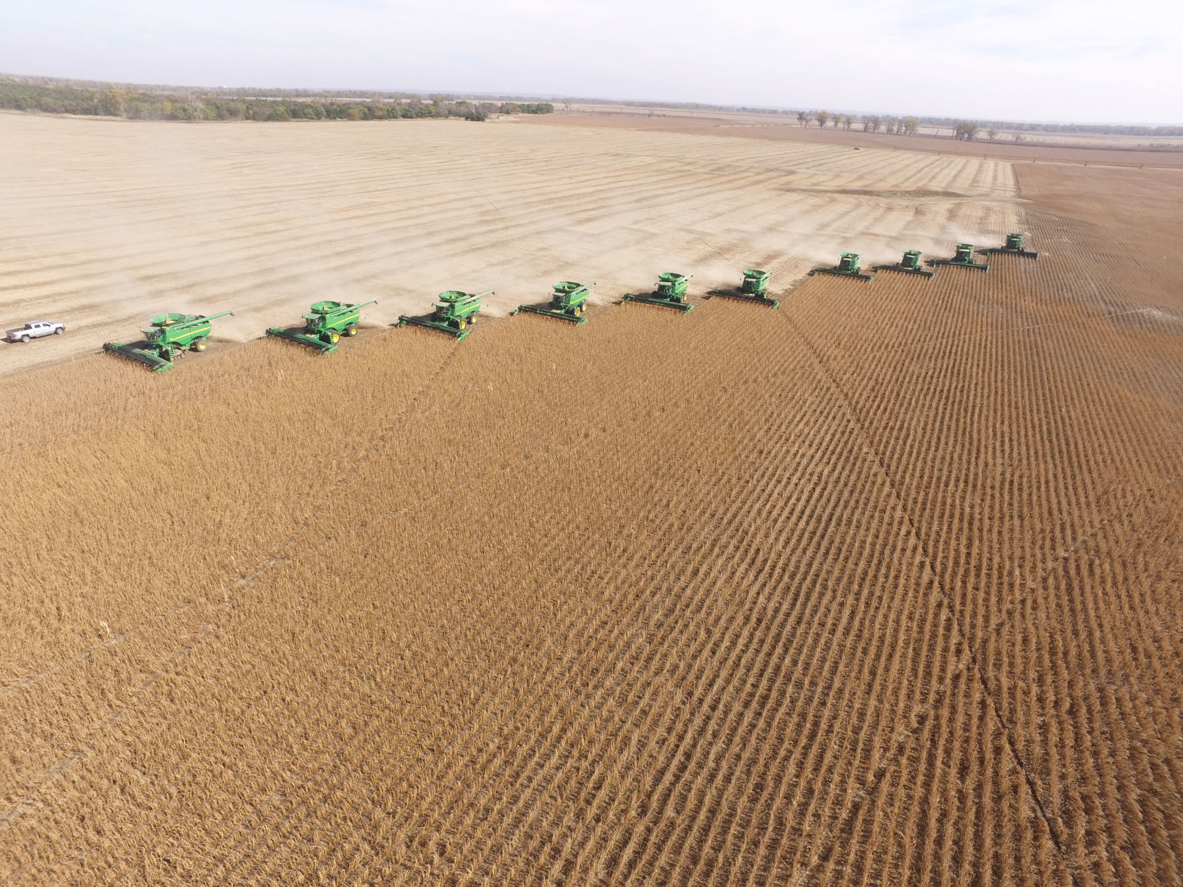 1 - Soybeans